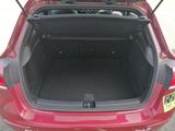 the back of a red car with its trunk open and a dog sitting in the trunk