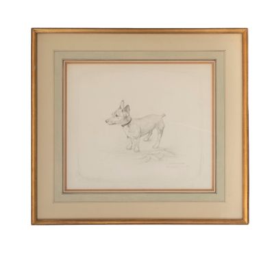 dessin d'un chien dans un cadre sur fond blanc