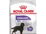 Alimentation pour chiens stérilisés Royal Canin Maxi