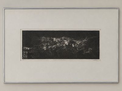 black and white photograph of a black and white picture of a field