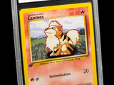 the pokemon card has a picture of a cat on it ' s back