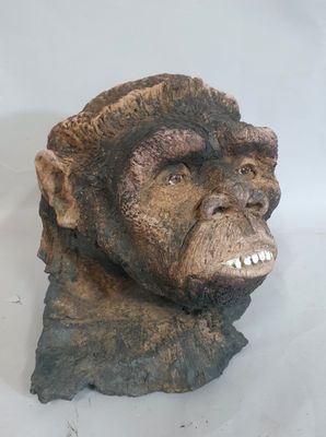 une statue représentant une tête de gorille sur un fond blanc
