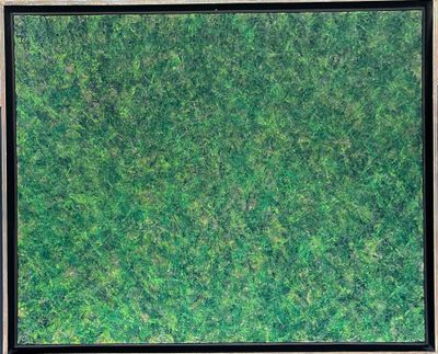a picture of a picture of a green field of grass