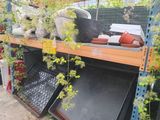 many plants on the shelves in the garden store