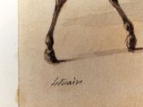 a drawing of a horse that is standing in the sand