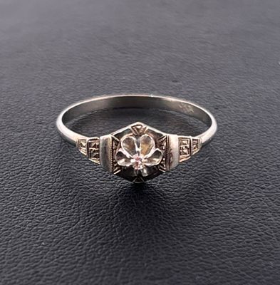 Bague en or gris 750 millièmes sertie d'un petit diamant rond de taill - Photo 1