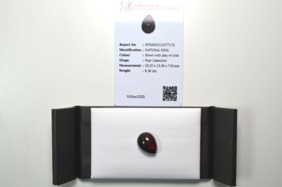 une photo d'une feuille de papier sur laquelle est dessinée une coccinelle