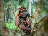 un homme assis dans un arbre, le visage barbouillé de peinture