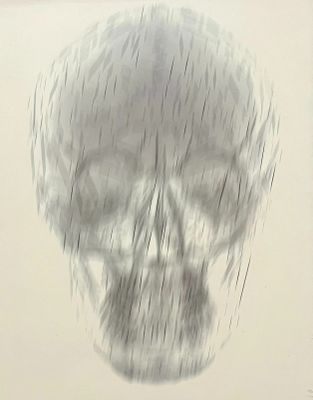 dessin d'un crâne sur une feuille de papier, dans un cadre