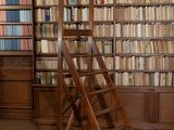 une échelle posée devant une bibliothèque