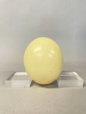 une boule jaune posée sur un socle transparent