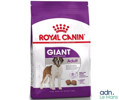Royal Canin Giant Adult : croquettes pour chiens adultes de grande taille