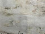 an image of a painting of a bird on a piece of paper with writing on it