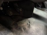 a cat that is sitting under the seat of a car