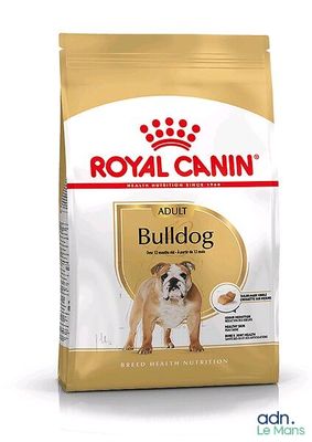 royal canin bulldog adult dry dog food