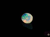 an oplite in the dark with its reflection on the ground
