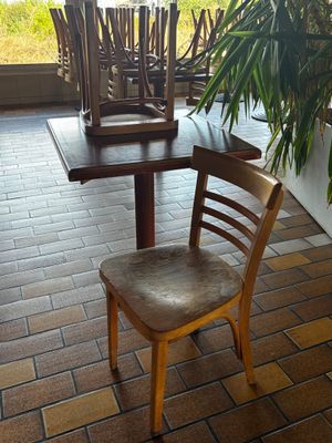 une table en bois sur laquelle se trouvent une chaise et une plante en pot