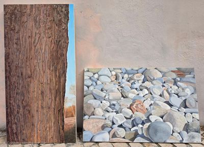 une photo d'un tableau représentant une souche d'arbre à côté d'un tableau représentant des rochers
