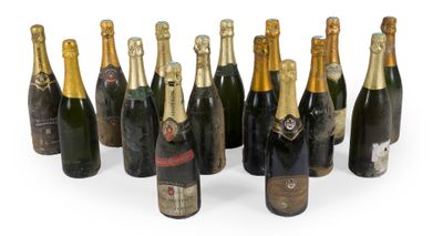 bottles of champagne are lined up in a row on a white surface