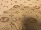 a close up of a person ' s foot on a louis vuitti rug