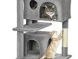 deux chats qui jouent sur un arbre à chat avec une balle au milieu