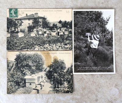 deux vieilles cartes postales représentant une femme dans un jardin