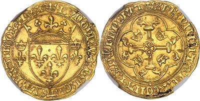 a gold coin with a shield on the front and a shield on the back
