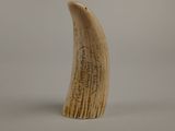 an elephant ' s tusk with writing on it