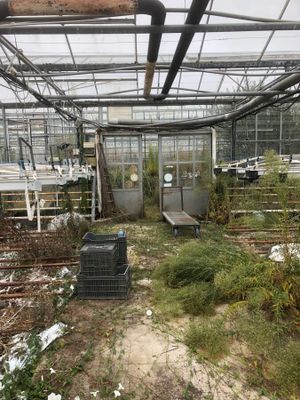 Suite LJ. Loïc PERENNES "Les Serres de KERIONOC" : - SERRE d…