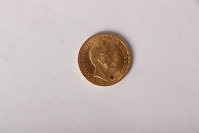 gros plan d'une pièce d'or sur une surface blanche