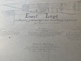 a drawing of a line of trees on a sheet of paper