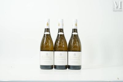 trois bouteilles de vin posées sur un plan de travail blanc