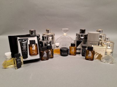 the contents of a variety of perfumes are displayed on a white surface