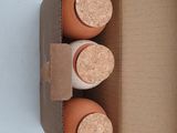 three clay pots in a cardboard box on a white surface