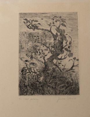 un dessin en noir et blanc représentant un arbre avec des oiseaux