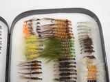 two trays with different types of flies in them