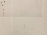 two drawings of a plant and a bird on a piece of paper