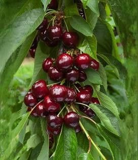 Destockage & Invendus