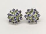 une photo d'une paire de boucles d'oreilles ornées de pierres bleues et vertes