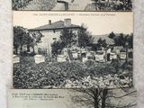une vieille photo en noir et blanc représentant quelques maisons et des arbres