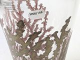 a glass vase with a plant in it on a table