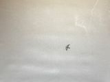 a plane that is flying in the sky over the water