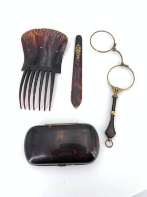 a hair comb, scissors, and a case on a white surface