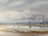 a painting of a landscape with trees in the water