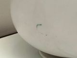 a white plate with a black cord on top of it