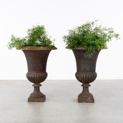 two large vases with plants in them on a concrete floor