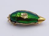 green and gold beetle with chinese writing on it ' s back