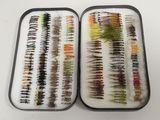 two trays filled with different types of flies on a white surface