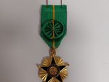 an image of a green and gold medal with a star on it