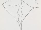 an image of a drawing of a flower on a white paper